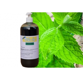 Sirop granita concentré MENTHE